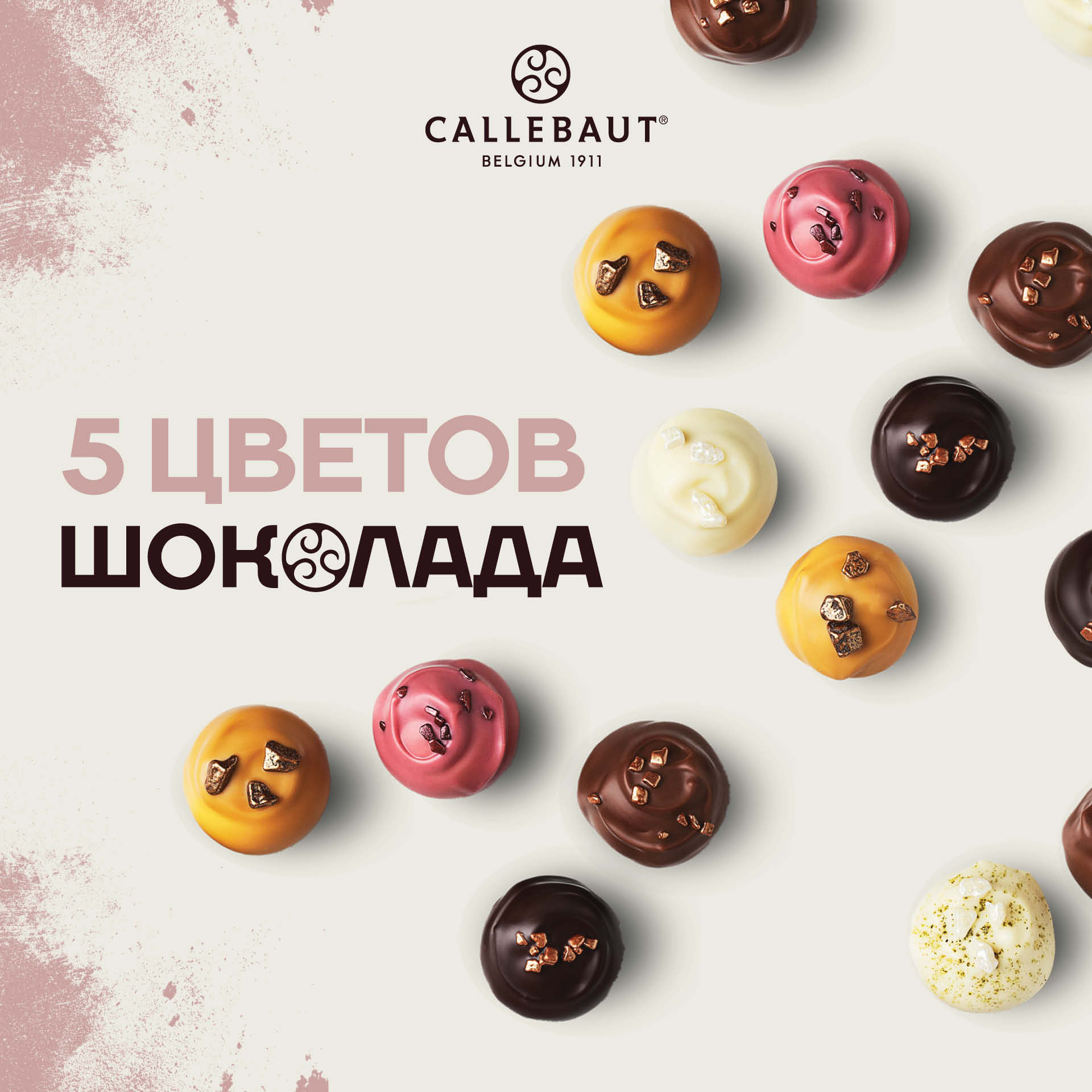 5 цветов шоколада