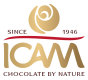 ICAM