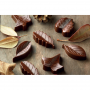 scg10_1 2